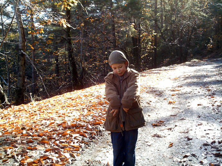 2005-11 WE Cevennes 106.JPG